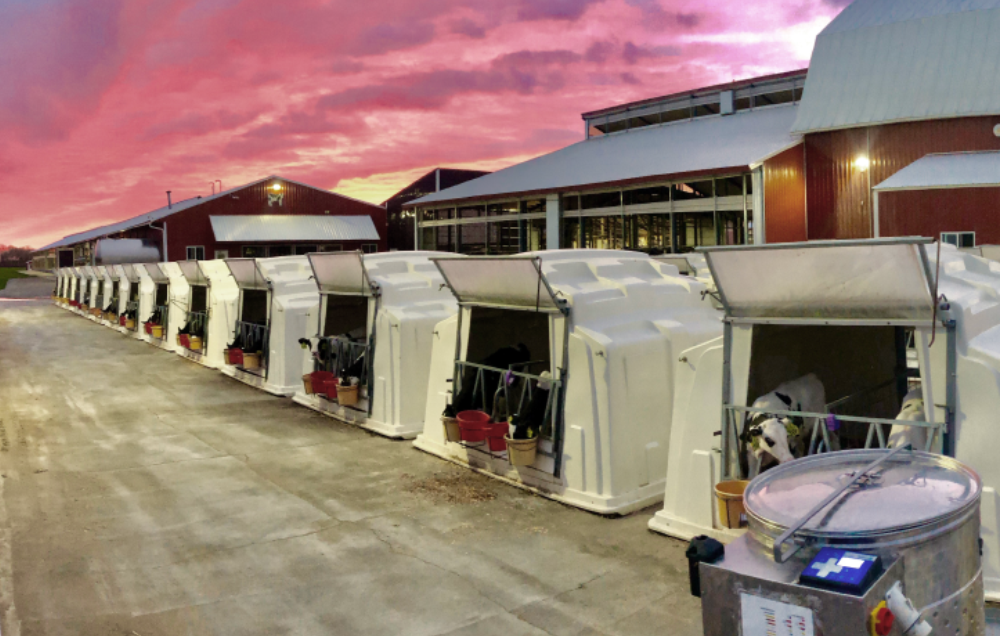 Outdoor Calf Housing Calf Hutch