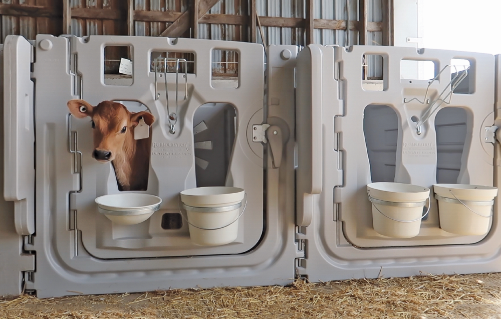 single-calf-housing-calf-hutch