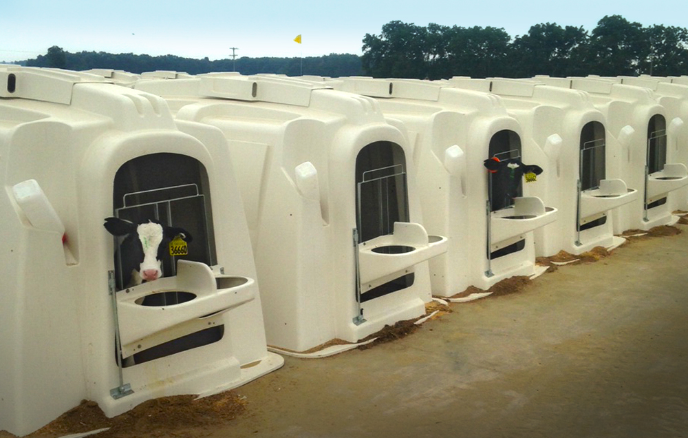 Outdoor Calf Housing Calf Hutch