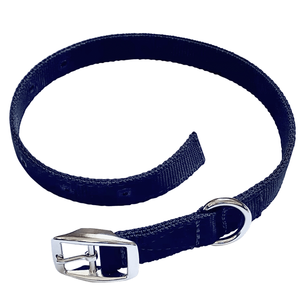 Neck Strap
