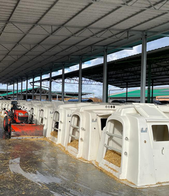 EXLHutchesUnderRoofOnFarm