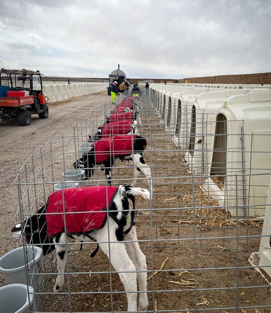 HaxtunSLHutchesinRow