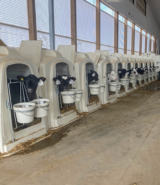 SL_EasyFrontDoors_BarnInUse_LR