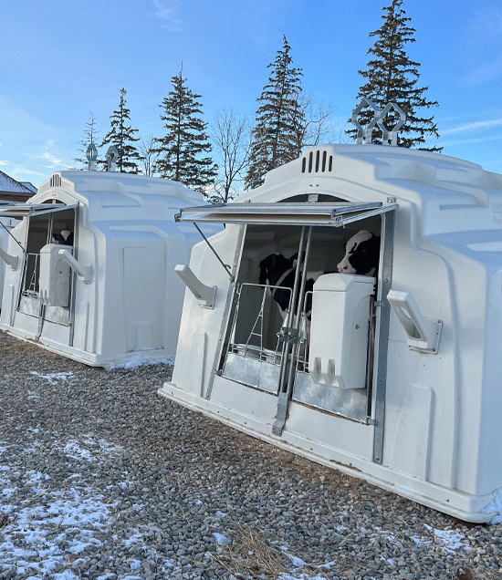 2SupremeBuddyHutchesOnFarm_LR