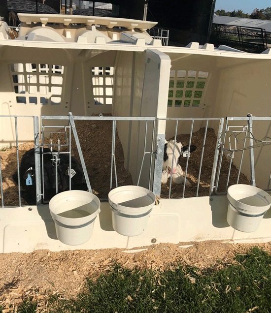 FlexHutches Calf Hutch