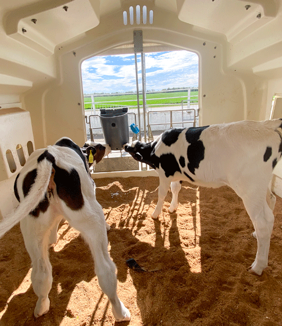 LauraRaatz_SupremeBuddyHutchInside_LR