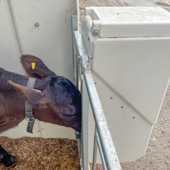 Universal Grain Feeder