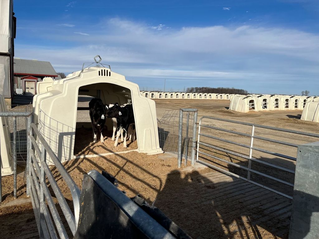 outdoor calf housing 1