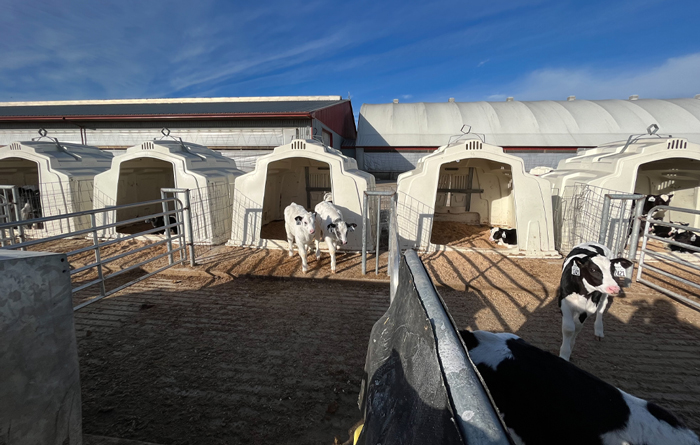 GroupHutchRow_CAfarm_LR