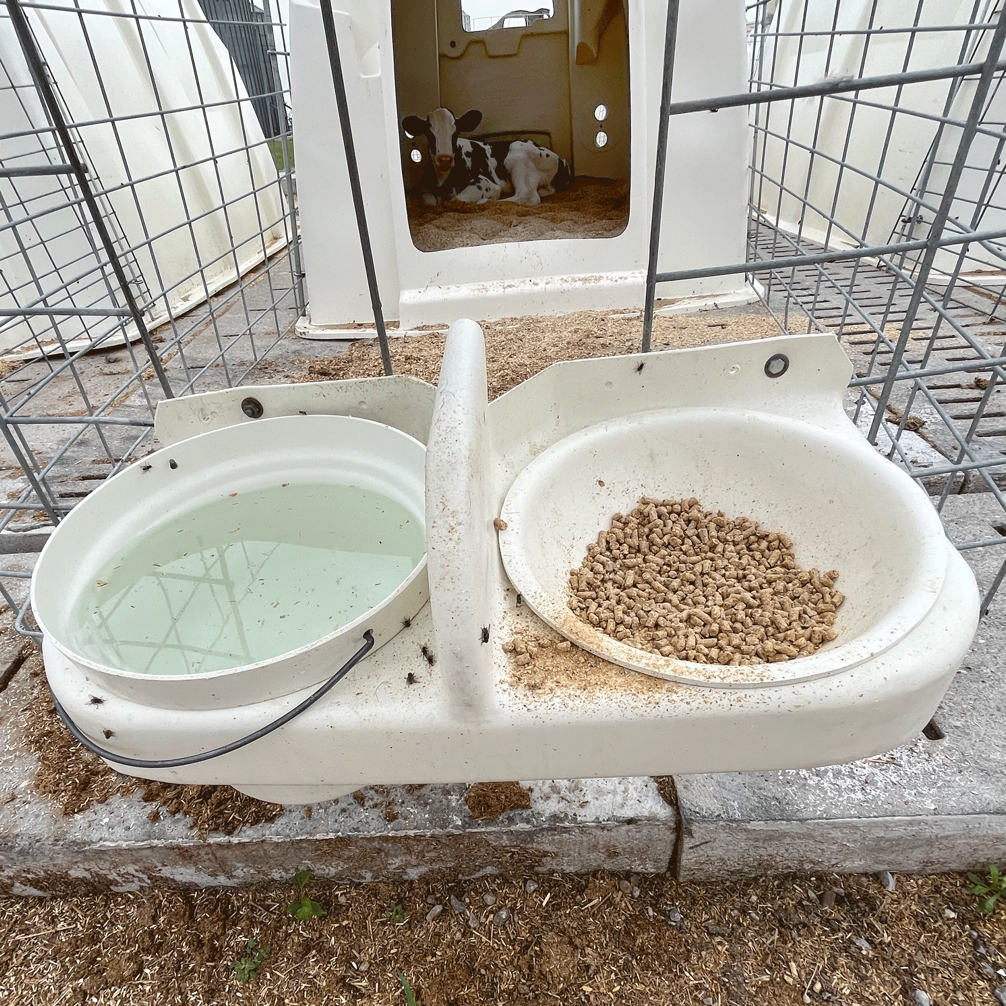 Double Fence Mount Pail Holder
