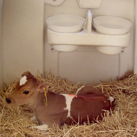 Double Hutch Mount Pail Holder