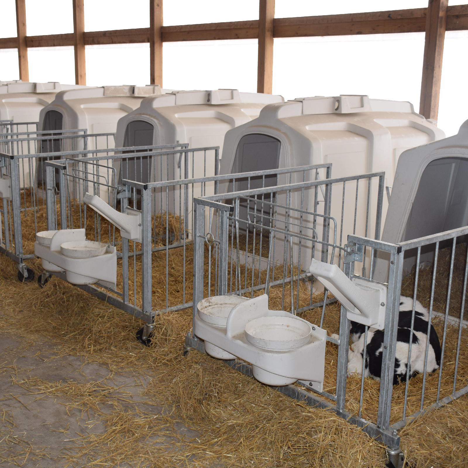 SL Supreme Fence