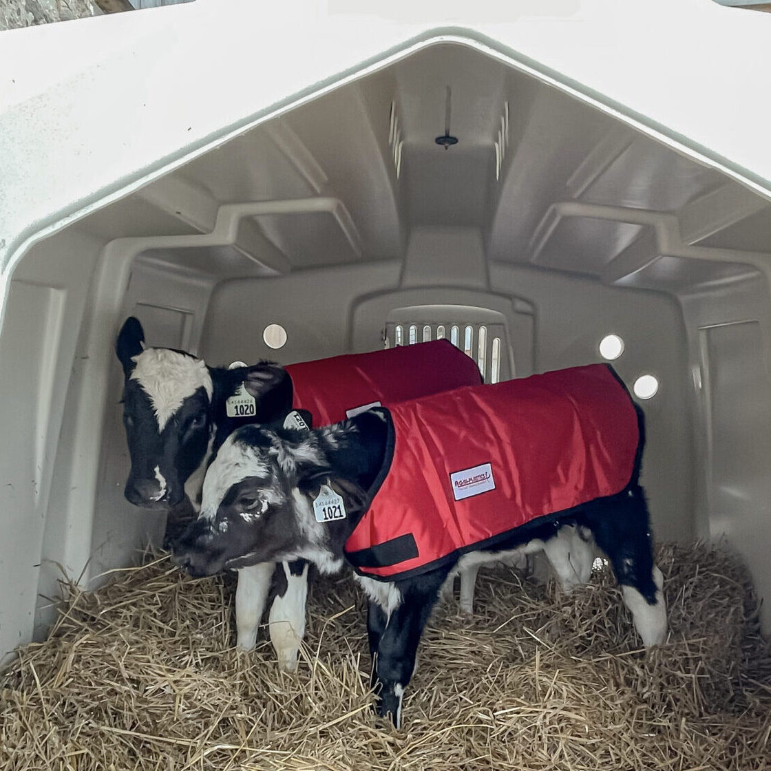 Small Calf Jacket