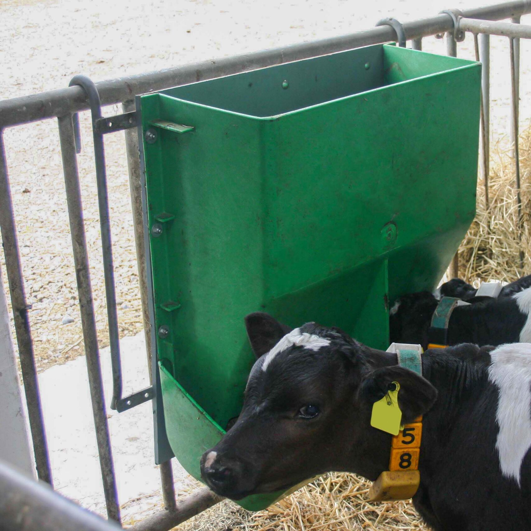 26.4 gal Automatic Feeder