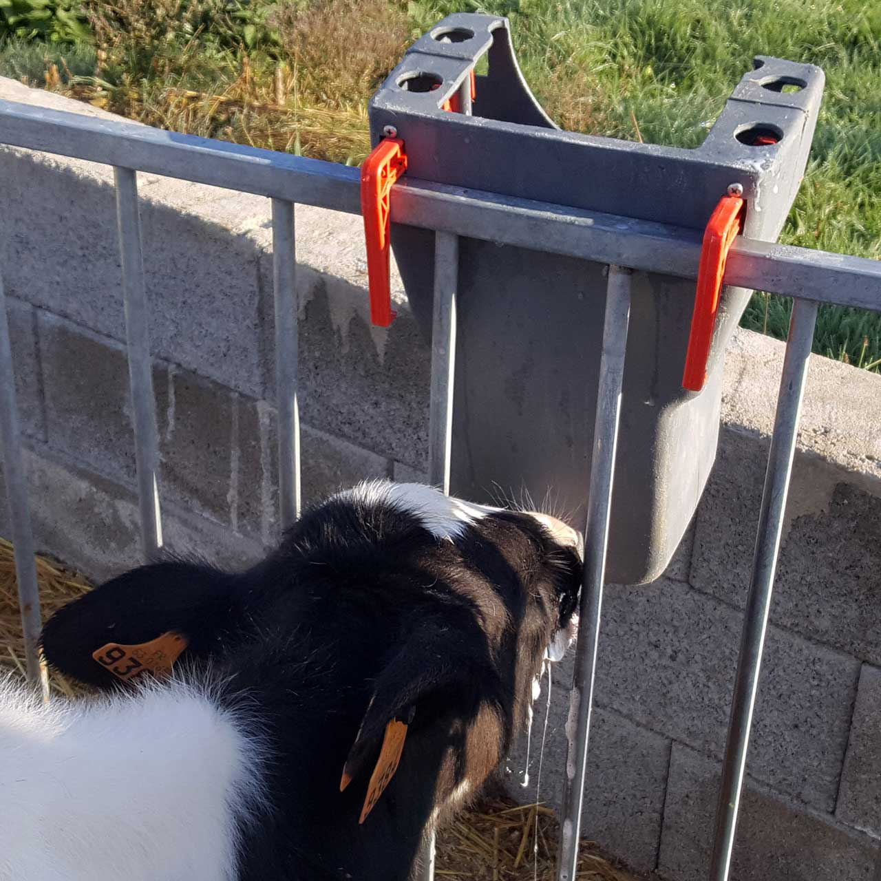 Milk Bar 1 Ezi Lock 8L – Outside Pen