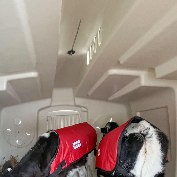 Dual XL Roof Vent