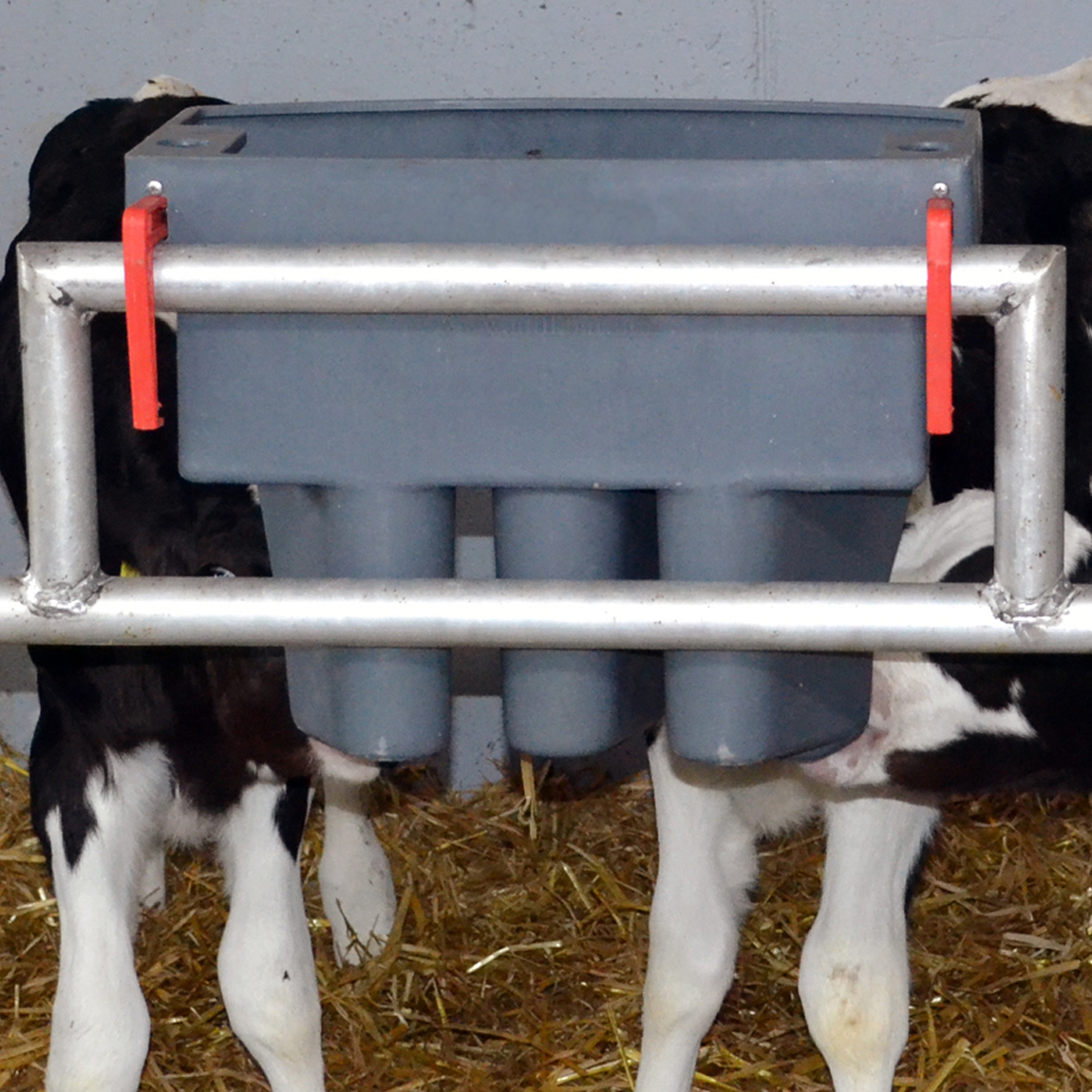 Milk Bar 3 Compartment Feeder
