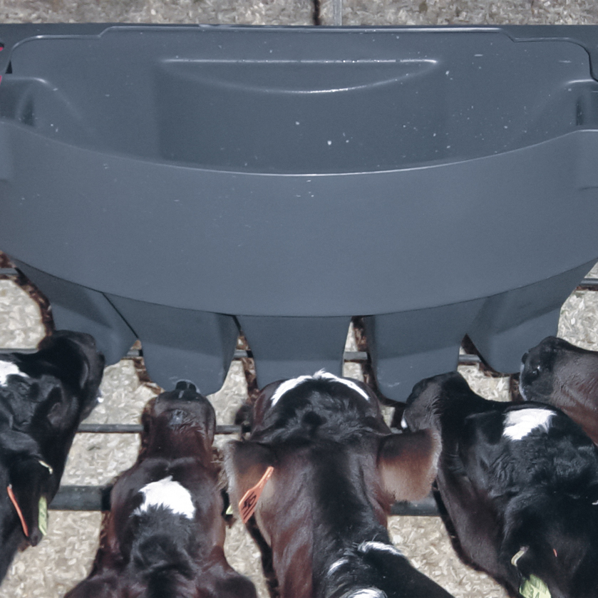 Milk Bar 5 Compartment Feeder
