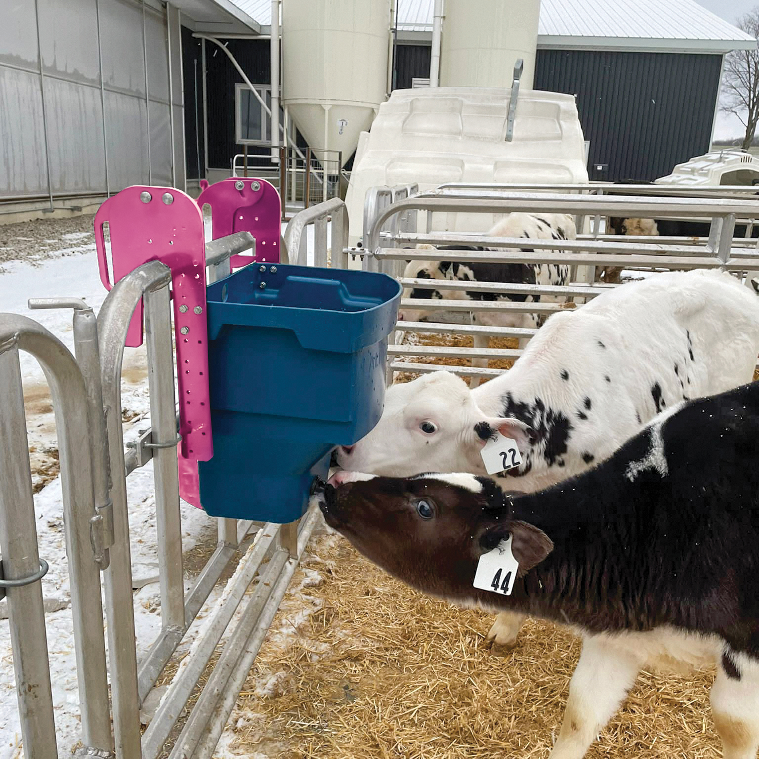 Milk Bar Calf Buddy 2-20L Feeder