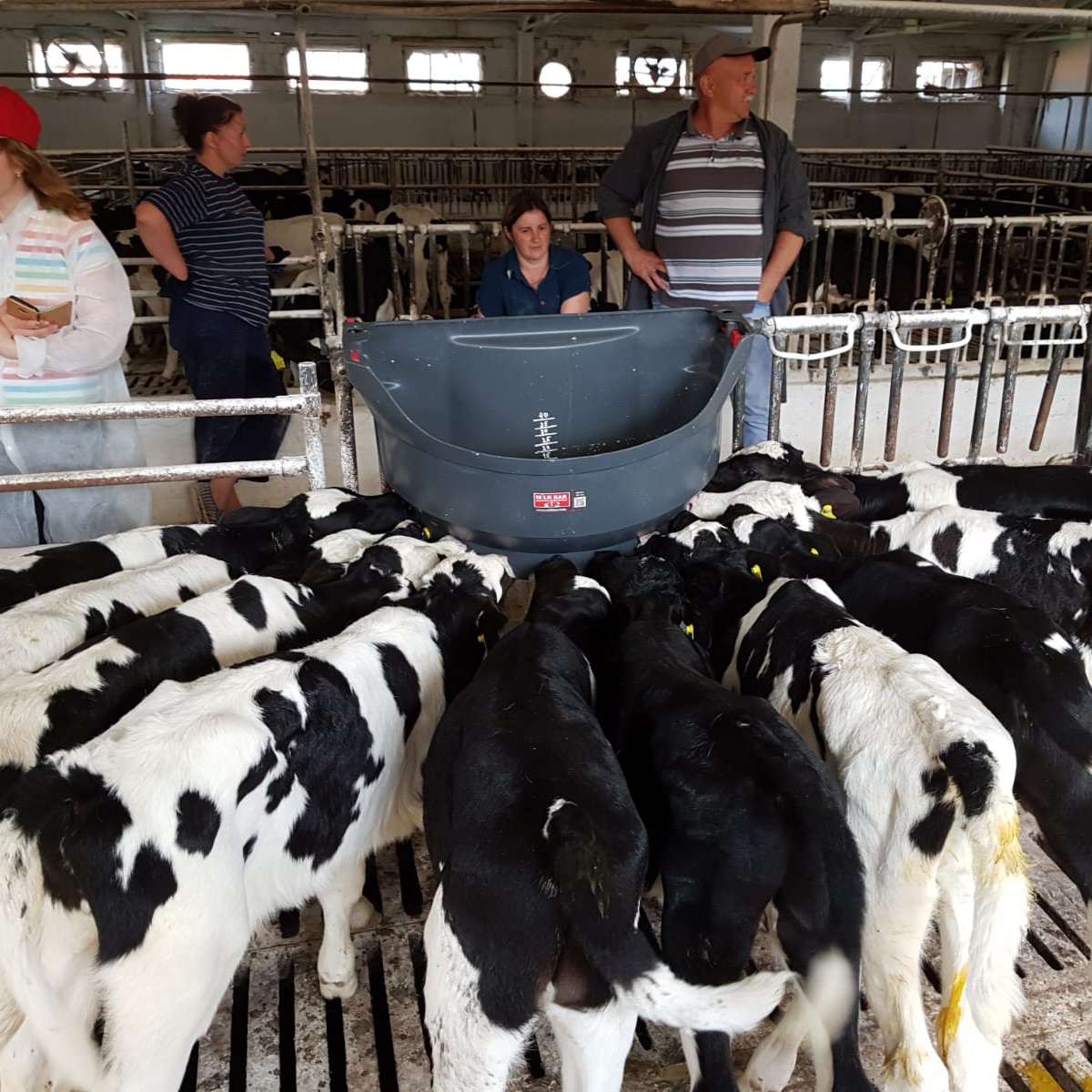 Milk Bar 10 Calf Feeder