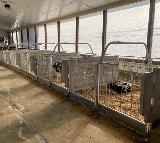 7147S_OpenAirPensInBarn.3