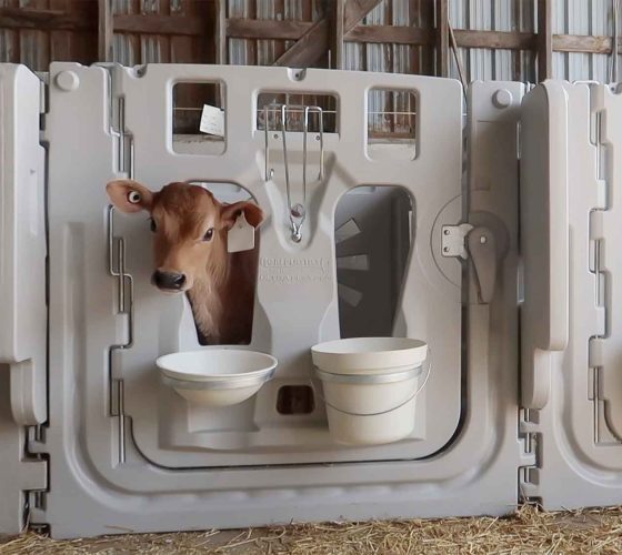 CalfInUltraFlexPen.Blog