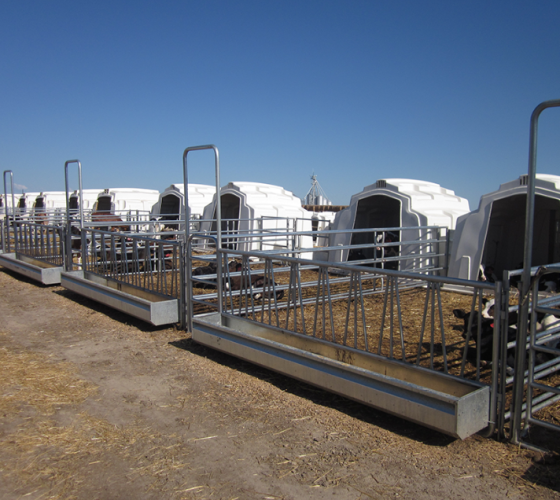 Groups-Hutchs-In-Use.LR.2